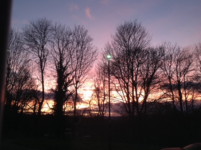 Fwd: Norfolk park ( photograph by Nira)			
					</div><!-- .entry-content -->
		
		<footer>
		
		
		
					
					</footer><!-- .entry-meta -->
	</article><!-- #post -->
				
											
				
		
<hr class=