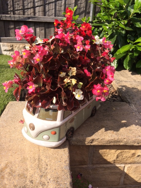 Fwd:			
					</div><!-- .entry-content -->
		
		<footer>
		
		
		
					
					</footer><!-- .entry-meta -->
	</article><!-- #post -->
				
											
				
		
<hr class=