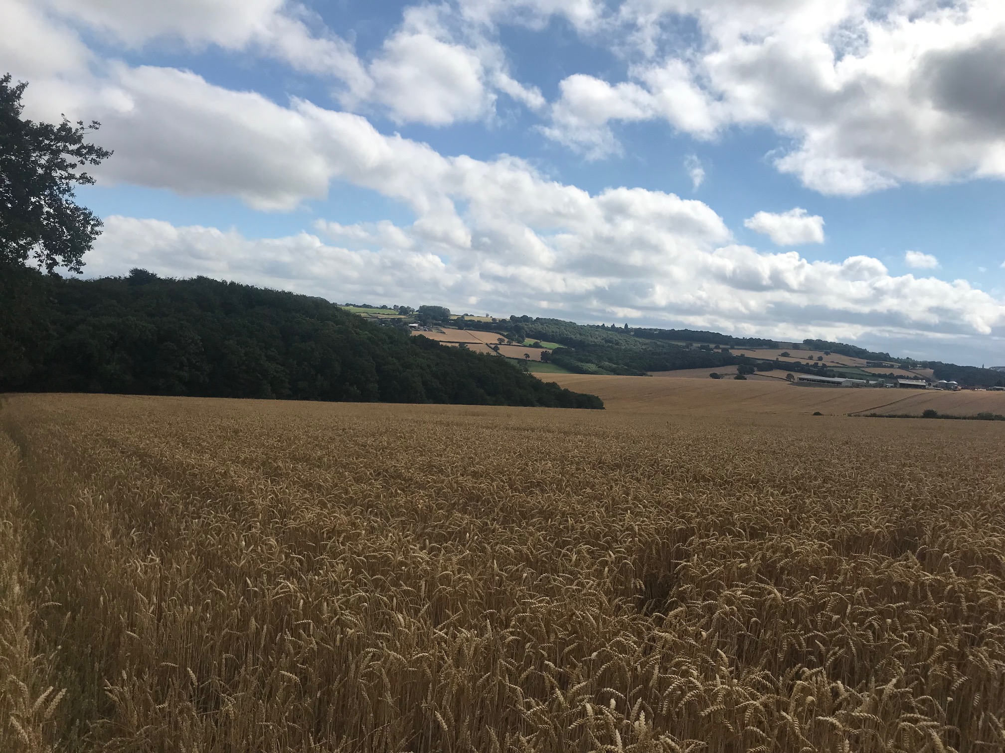 Fwd: Moss Valley			
					</div><!-- .entry-content -->
		
		<footer>
		
		
		
					
					</footer><!-- .entry-meta -->
	</article><!-- #post -->
				
											
				
		
<hr class=