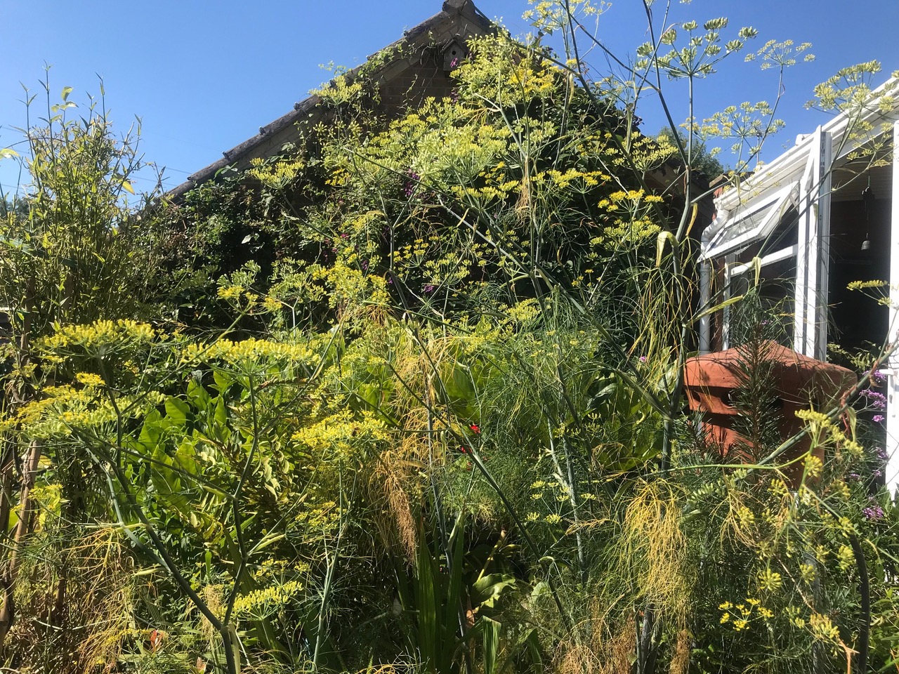 Fwd: Fennel ,Charnock ☀️			
					</div><!-- .entry-content -->
		
		<footer>
		
		
		
					
					</footer><!-- .entry-meta -->
	</article><!-- #post -->
				
											
				
		
<hr class=