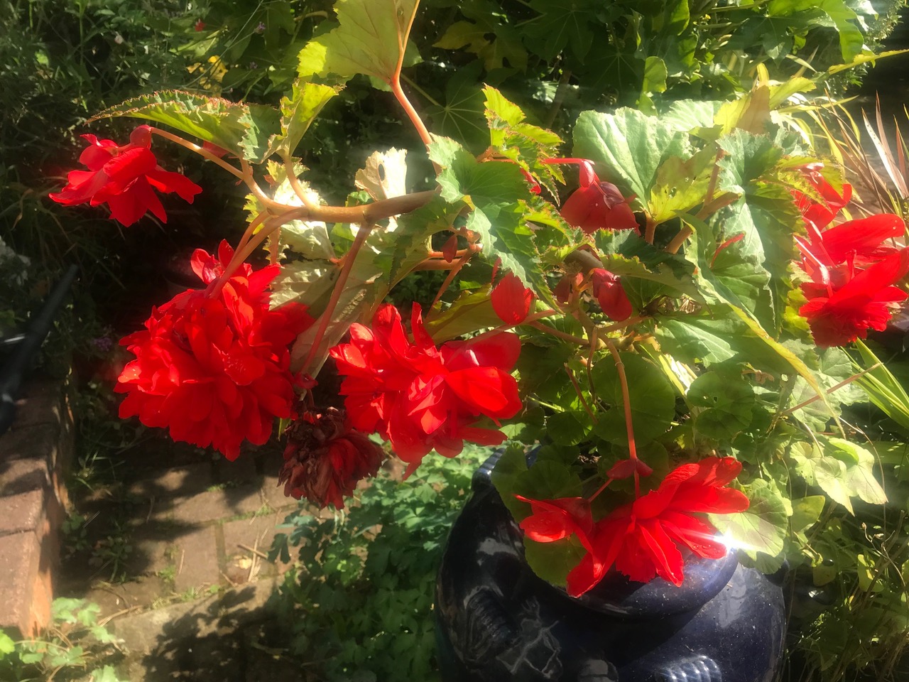 Fwd: Charnock			
					</div><!-- .entry-content -->
		
		<footer>
		
		
		
					
					</footer><!-- .entry-meta -->
	</article><!-- #post -->
				
											
				
		
<hr class=