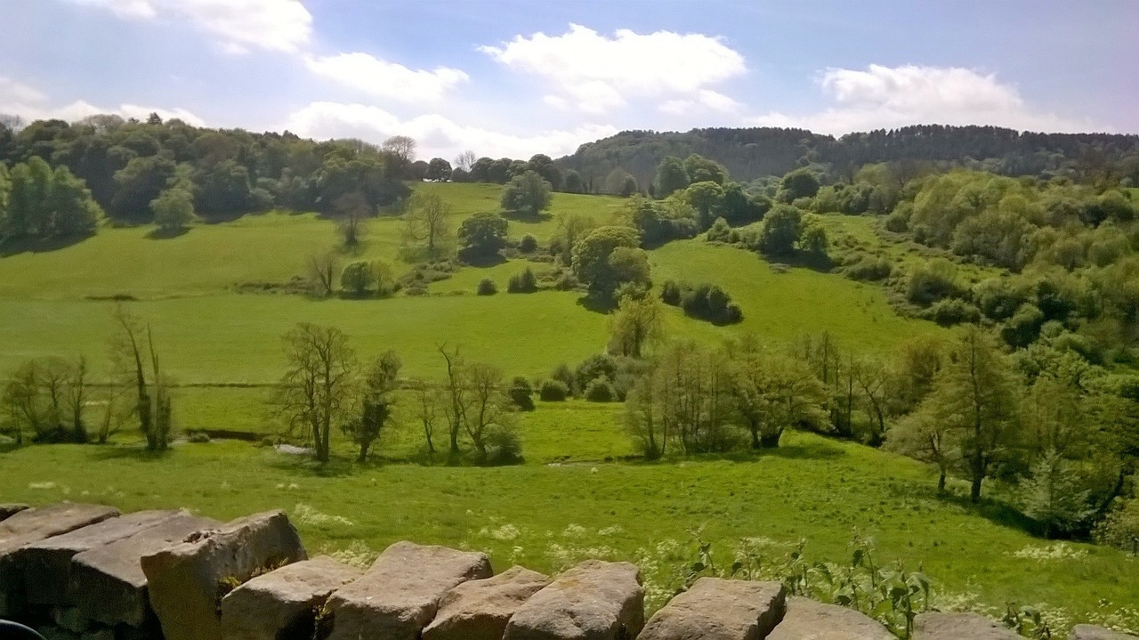 Fwd: By Mark Winter- Ashover			
					</div><!-- .entry-content -->
		
		<footer>
		
		
		
					
					</footer><!-- .entry-meta -->
	</article><!-- #post -->
				
											
				
		
<hr class=