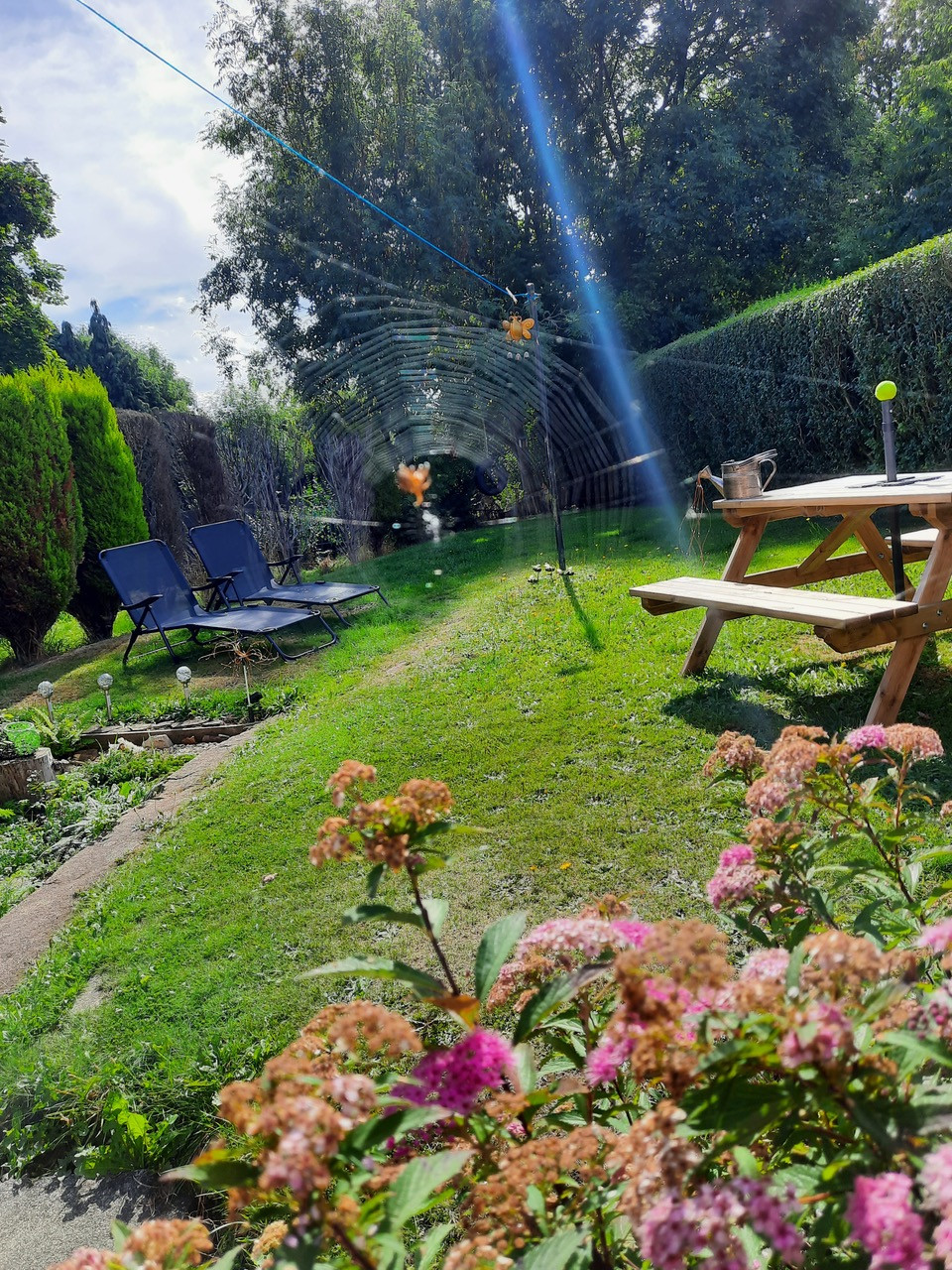 Fwd: Spider in the garden by Diana Lees			
					</div><!-- .entry-content -->
		
		<footer>
		
		
		
					
					</footer><!-- .entry-meta -->
	</article><!-- #post -->
				
											
				
		
<hr class=