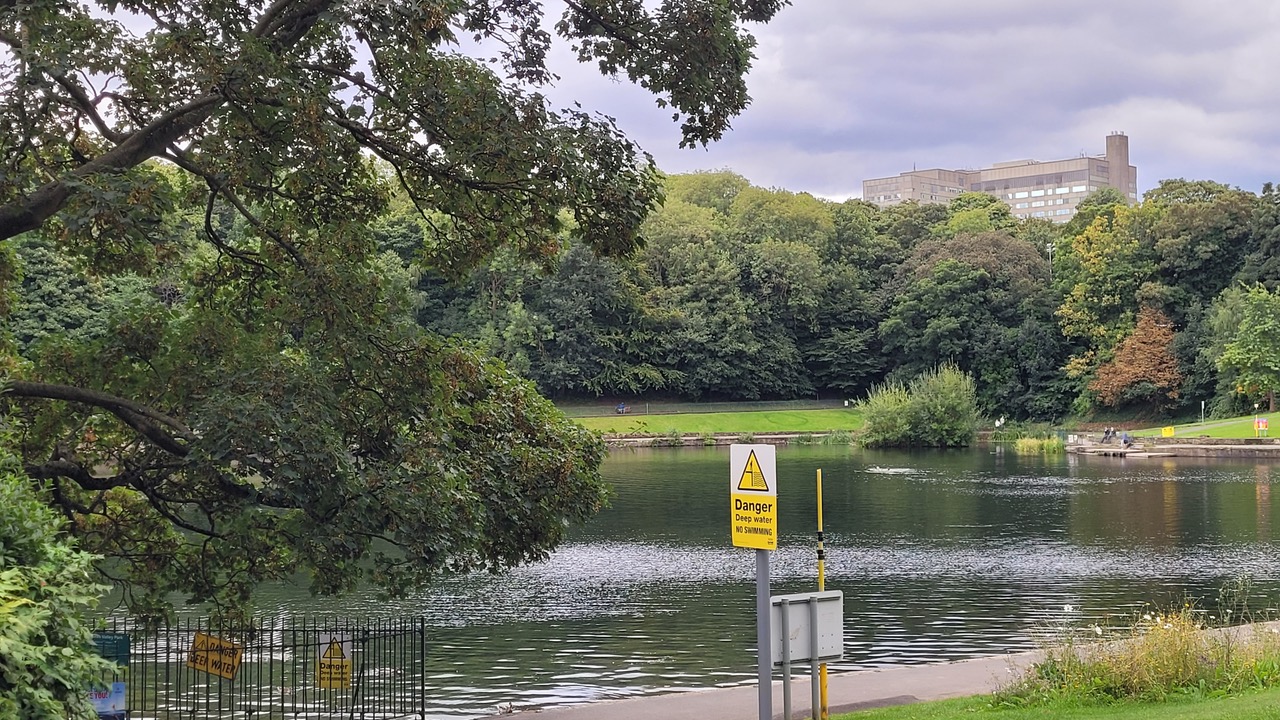 Fwd: Greg Howarth Crookes Valley Pk			
					</div><!-- .entry-content -->
		
		<footer>
		
		
		
					
					</footer><!-- .entry-meta -->
	</article><!-- #post -->
				
											
				
		
<hr class=