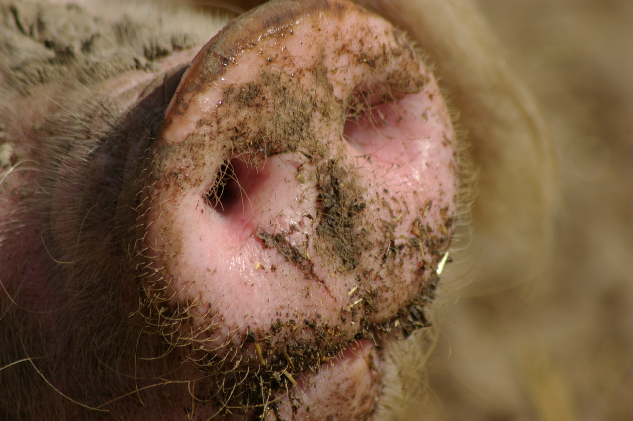 Fwd: Isaac Walker, Graves Park Sheffield			
					</div><!-- .entry-content -->
		
		<footer>
		
		
		
					
					</footer><!-- .entry-meta -->
	</article><!-- #post -->
				
											
				
		
<hr class=