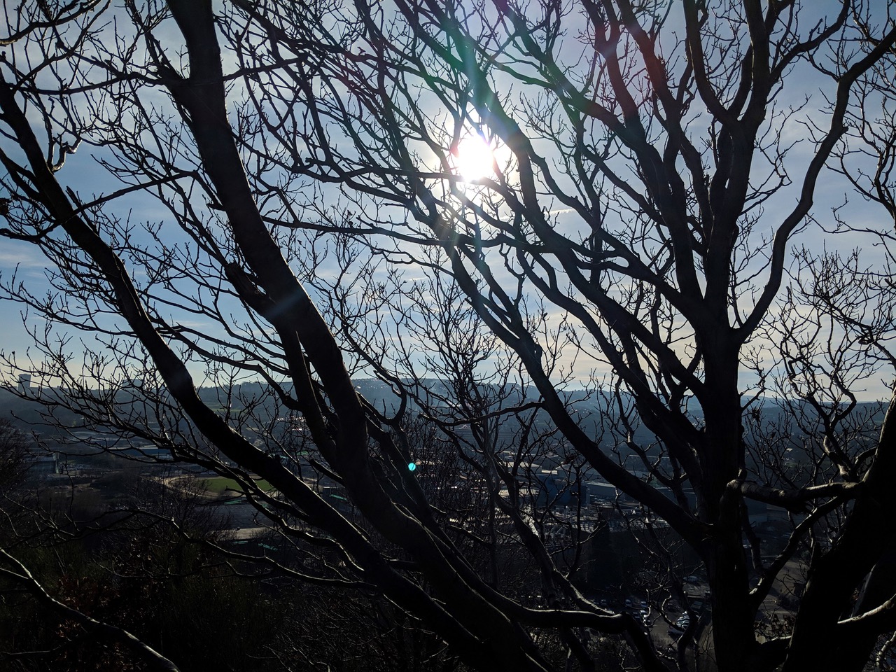 Fwd: Isaac Walker, Scraith Wood			
					</div><!-- .entry-content -->
		
		<footer>
		
		
		
					
					</footer><!-- .entry-meta -->
	</article><!-- #post -->
				
											
				
		
<hr class=