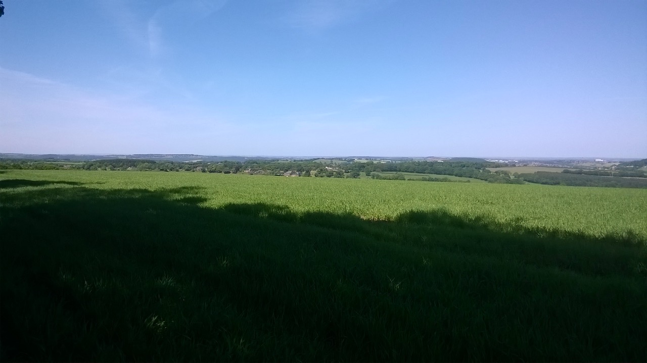 Fwd: By april holland			
					</div><!-- .entry-content -->
		
		<footer>
		
		
		
					
					</footer><!-- .entry-meta -->
	</article><!-- #post -->
				
											
				
		
<hr class=