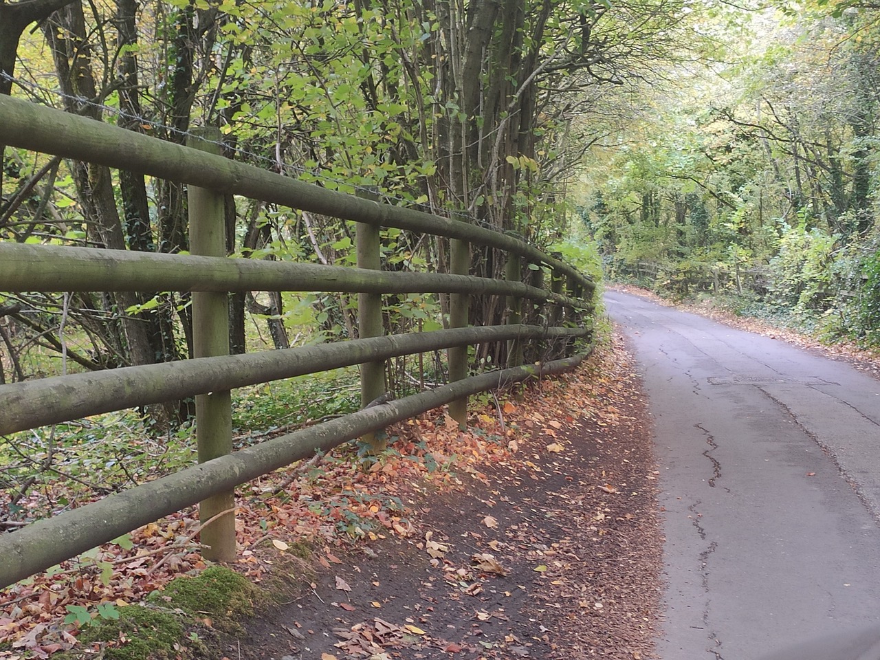 Fwd: photos@sheffieldlive.org			
					</div><!-- .entry-content -->
		
		<footer>
		
		
		
					
					</footer><!-- .entry-meta -->
	</article><!-- #post -->
				
											
				
		
<hr class=