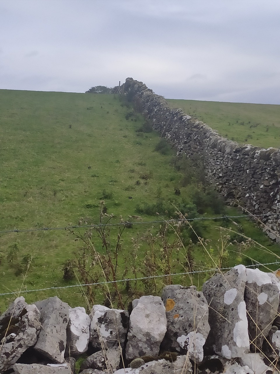 Fwd: Photos 3			
					</div><!-- .entry-content -->
		
		<footer>
		
		
		
					
					</footer><!-- .entry-meta -->
	</article><!-- #post -->
				
											
				
		
<hr class=