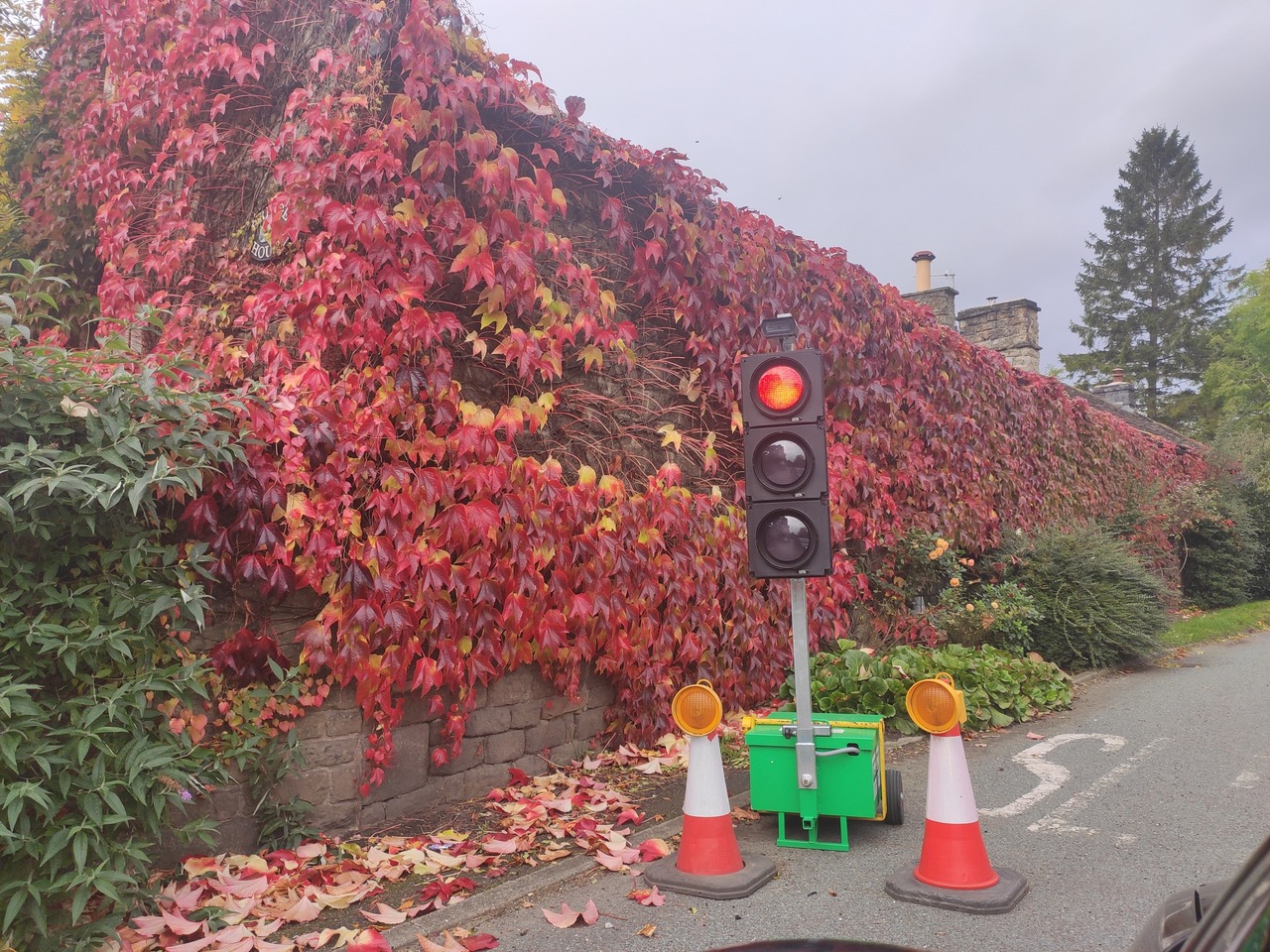 Fwd: Photo			
					</div><!-- .entry-content -->
		
		<footer>
		
		
		
					
					</footer><!-- .entry-meta -->
	</article><!-- #post -->
				
											
				
		
<hr class=