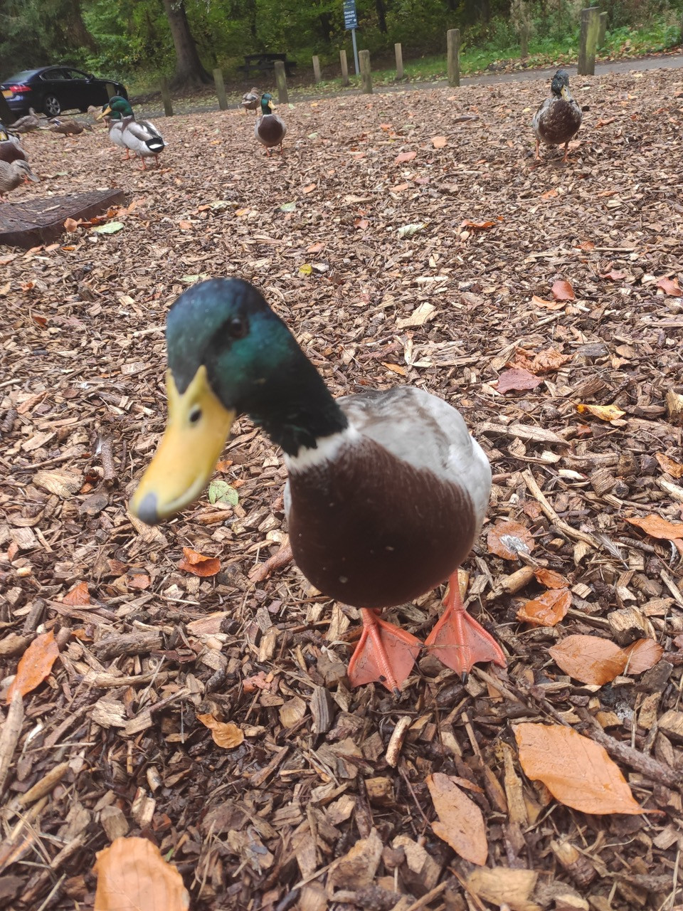 Fwd: Photo			
					</div><!-- .entry-content -->
		
		<footer>
		
		
		
					
					</footer><!-- .entry-meta -->
	</article><!-- #post -->
				
											
				
		
<hr class=