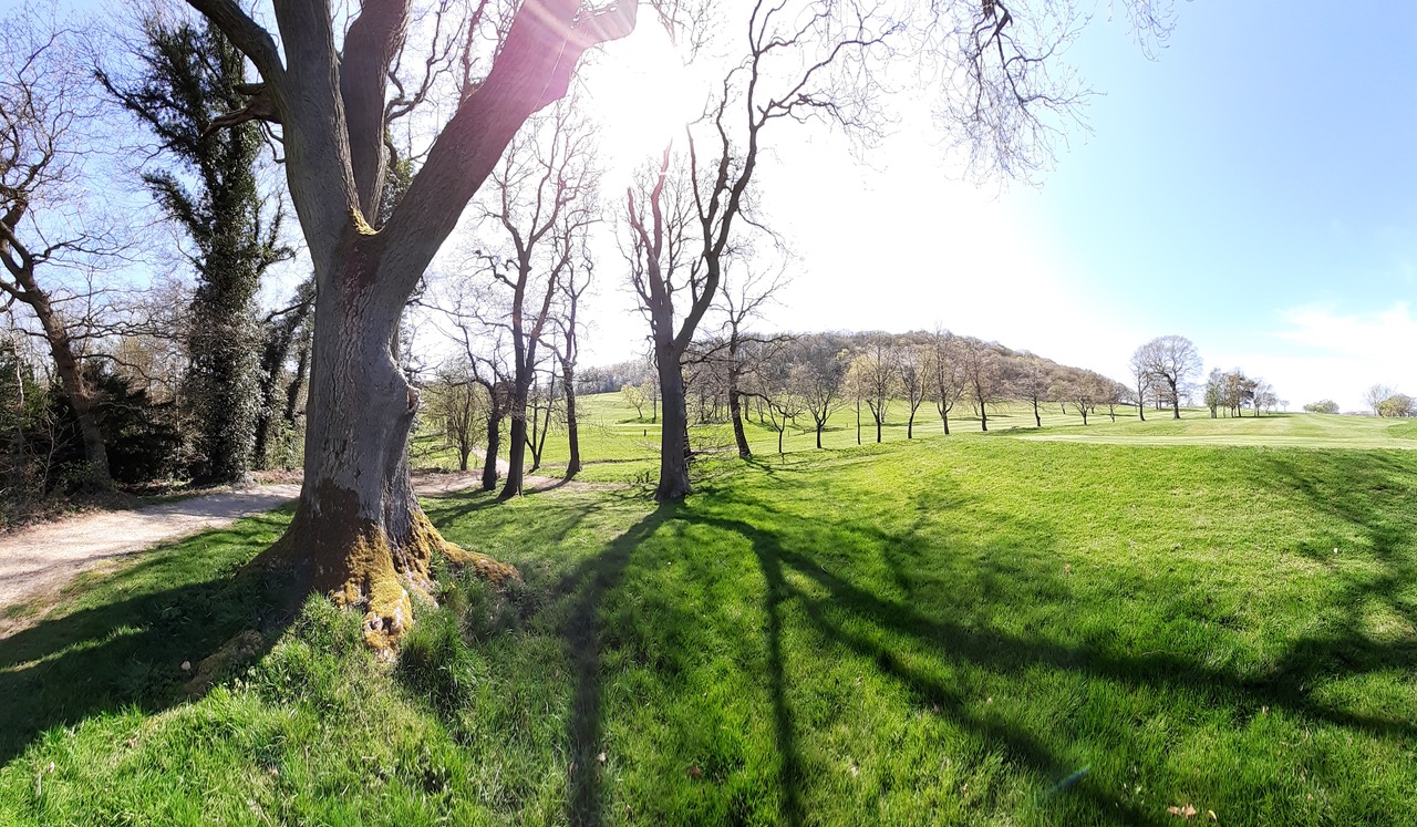 Fwd: Beauchief sunshine by Gullface London			
					</div><!-- .entry-content -->
		
		<footer>
		
		
		
					
					</footer><!-- .entry-meta -->
	</article><!-- #post -->
				
											
				
		
<hr class=