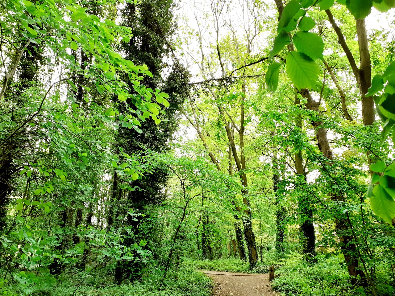 Fwd: Wardsend Cemetery by Gullface London			
					</div><!-- .entry-content -->
		
		<footer>
		
		
		
					
					</footer><!-- .entry-meta -->
	</article><!-- #post -->
				
											
				
		
<hr class=