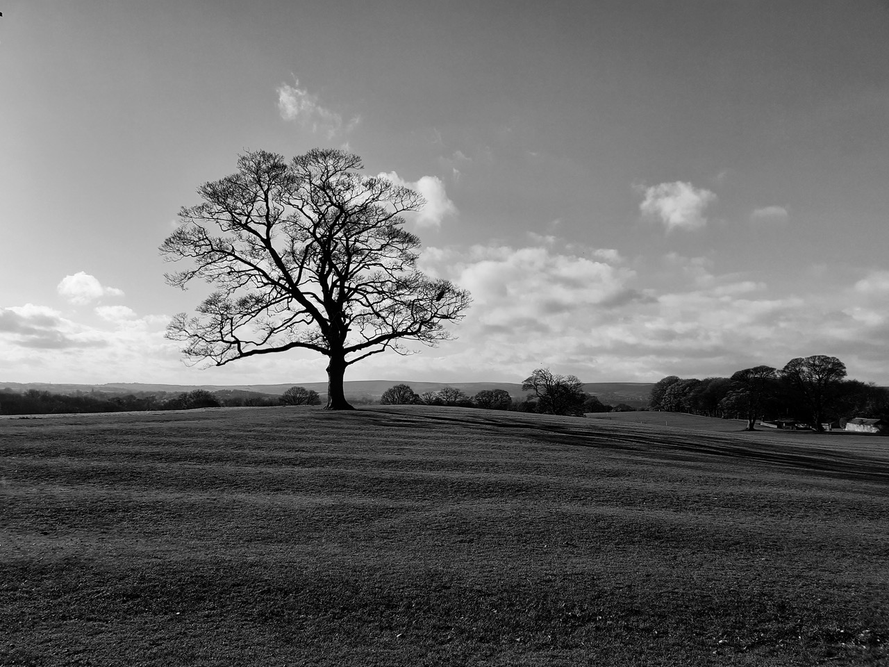 Fwd: Graves Park by Gullface London			
					</div><!-- .entry-content -->
		
		<footer>
		
		
		
					
					</footer><!-- .entry-meta -->
	</article><!-- #post -->
				
											
				
		
<hr class=