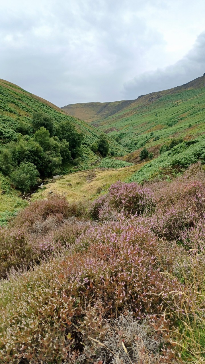 Fwd: By Mark Winter- Grindsbrook Clough, Eadale.			
					</div><!-- .entry-content -->
		
		<footer>
		
		
		
					
					</footer><!-- .entry-meta -->
	</article><!-- #post -->
				
											
				
		
<hr class=