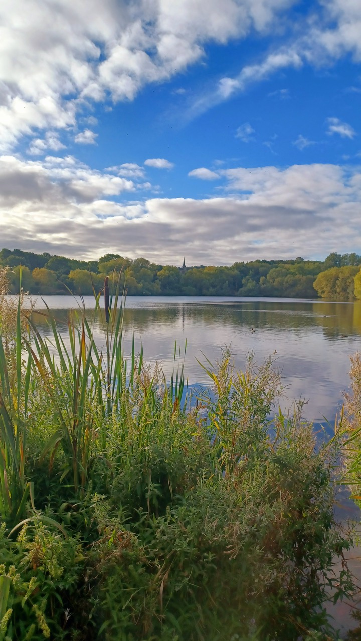 Fwd: By Mark Winter- Elsecar reservoir			
					</div><!-- .entry-content -->
		
		<footer>
		
		
		
					
					</footer><!-- .entry-meta -->
	</article><!-- #post -->
				
											
				
		
<hr class=