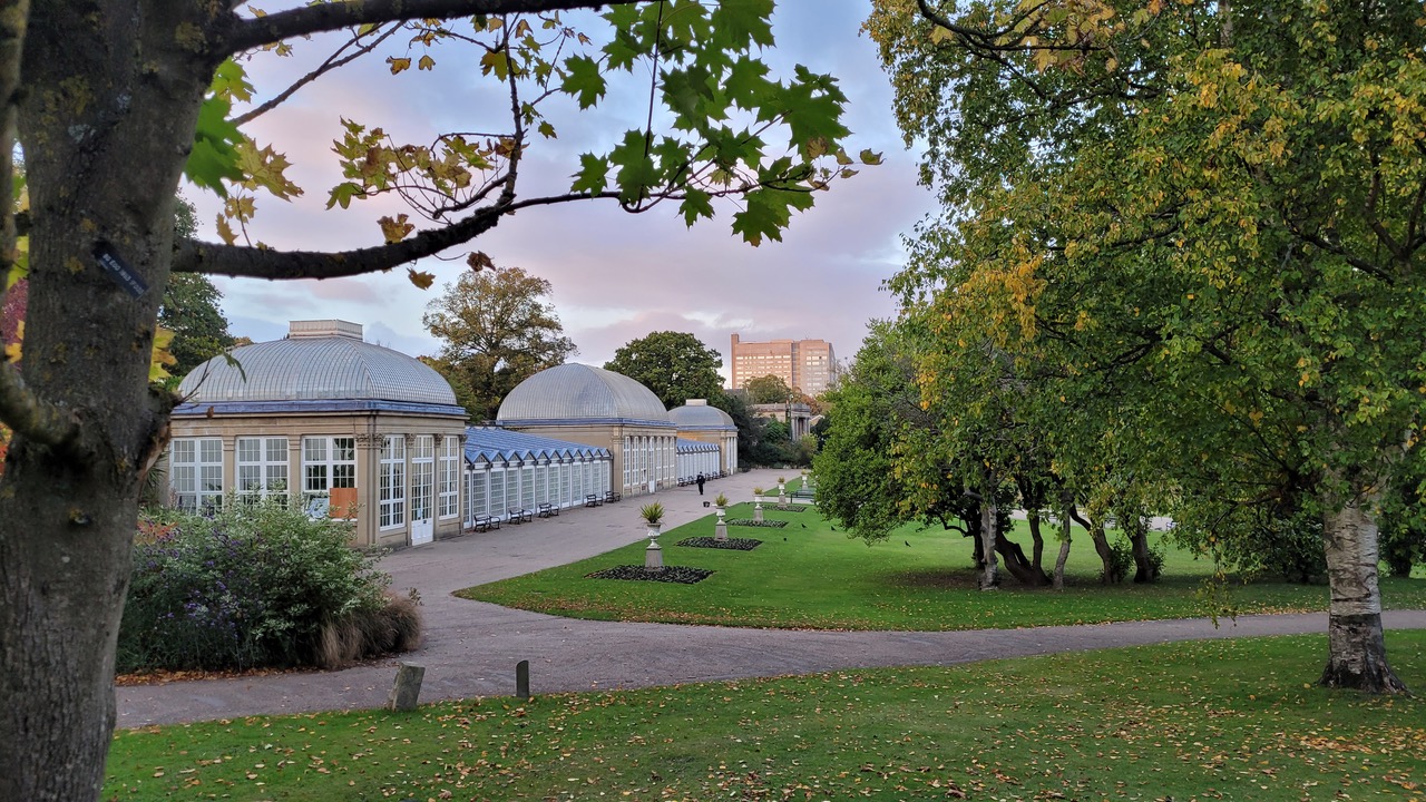 Fwd: Greg Howarth Botanical Gardens			
					</div><!-- .entry-content -->
		
		<footer>
		
		
		
					
					</footer><!-- .entry-meta -->
	</article><!-- #post -->
				
											
				
		
<hr class=