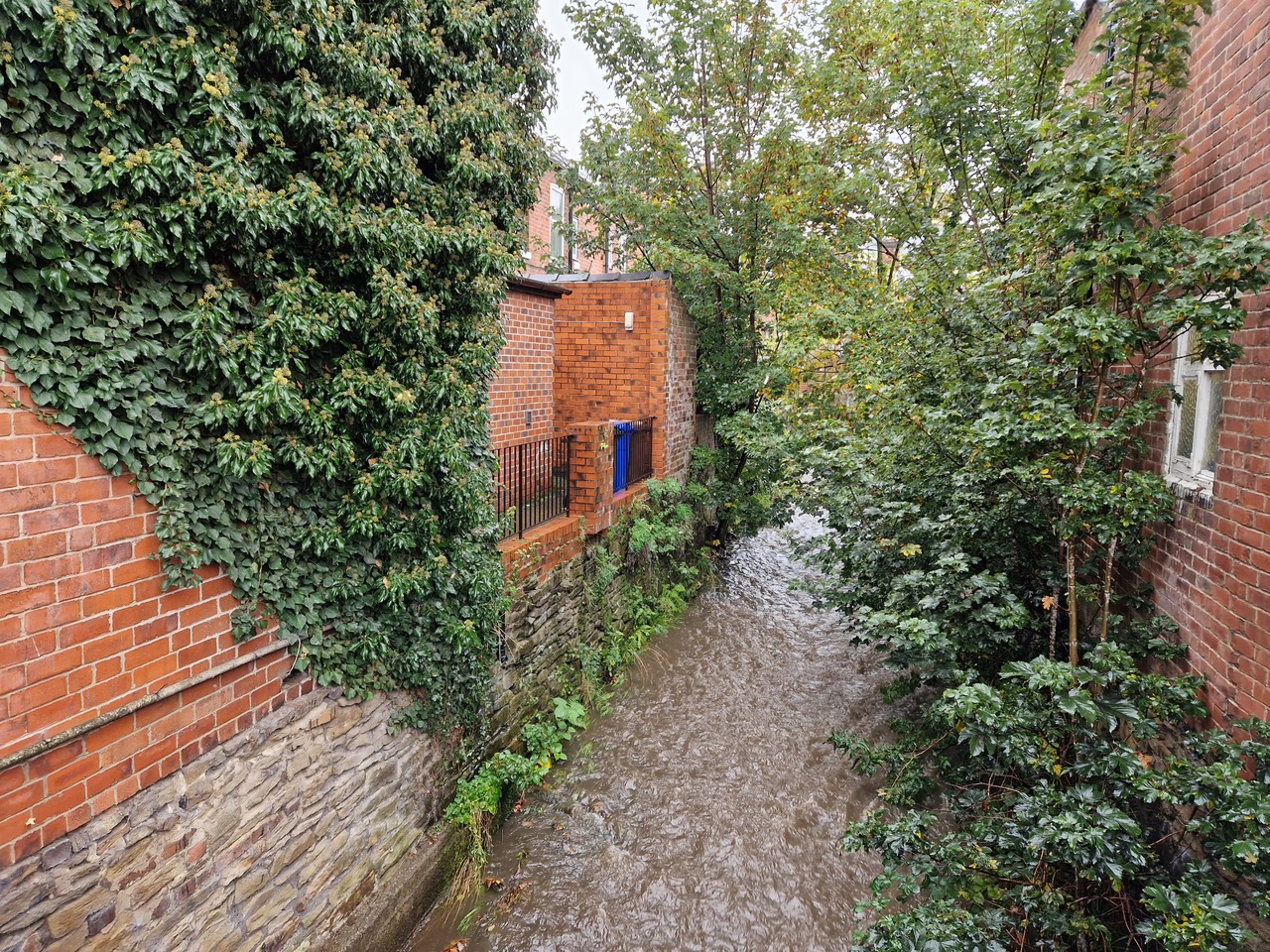 Fwd: Photo 1			
					</div><!-- .entry-content -->
		
		<footer>
		
		
		
					
					</footer><!-- .entry-meta -->
	</article><!-- #post -->
				
											
				
		
<hr class=