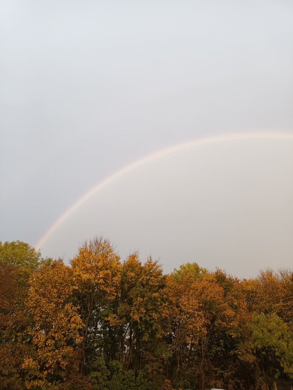 Fwd: April			
					</div><!-- .entry-content -->
		
		<footer>
		
		
		
					
					</footer><!-- .entry-meta -->
	</article><!-- #post -->
				
											
				
		
<hr class=