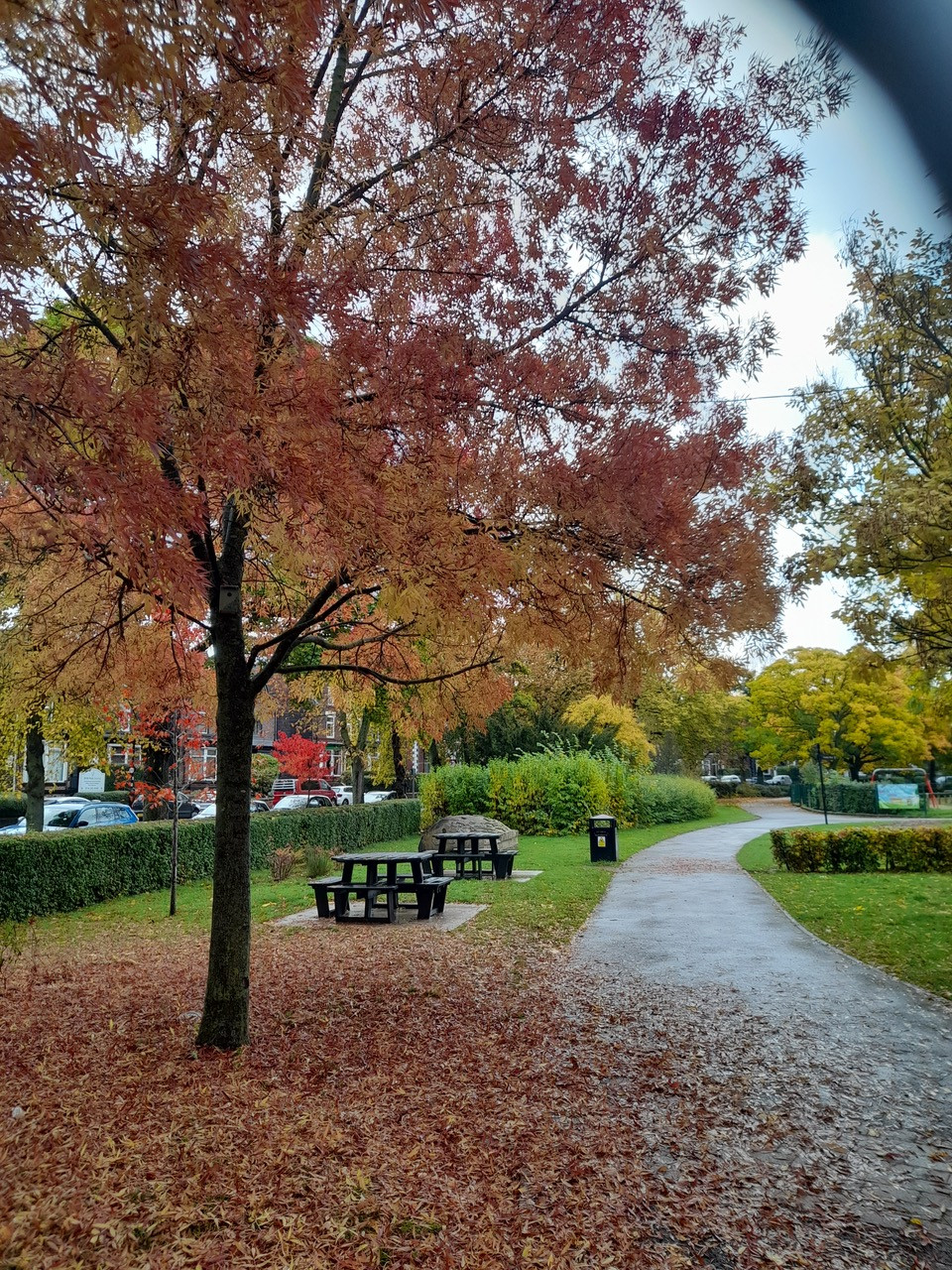 Fwd:			
					</div><!-- .entry-content -->
		
		<footer>
		
		
		
					
					</footer><!-- .entry-meta -->
	</article><!-- #post -->
				
											
				
		
<hr class=