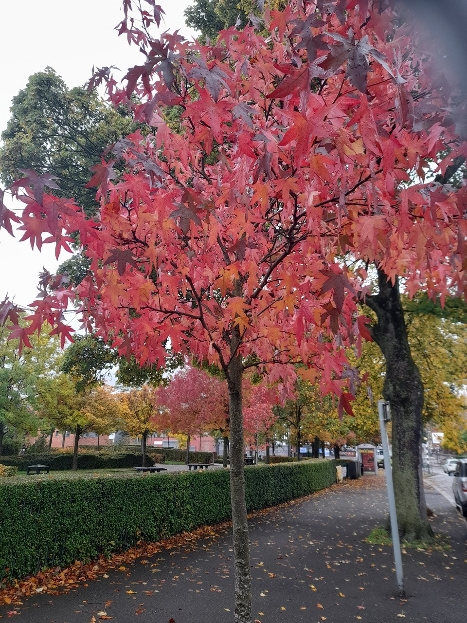 Fwd:			
					</div><!-- .entry-content -->
		
		<footer>
		
		
		
					
					</footer><!-- .entry-meta -->
	</article><!-- #post -->
				
											
				
		
<hr class=