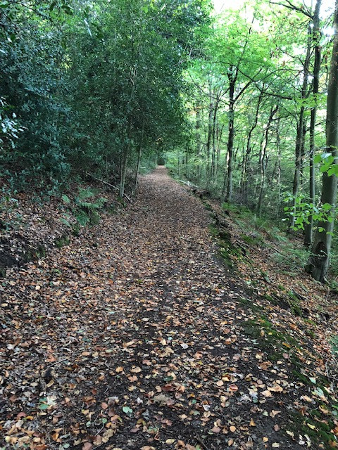 Fwd: Troway			
					</div><!-- .entry-content -->
		
		<footer>
		
		
		
					
					</footer><!-- .entry-meta -->
	</article><!-- #post -->
				
											
				
		
<hr class=