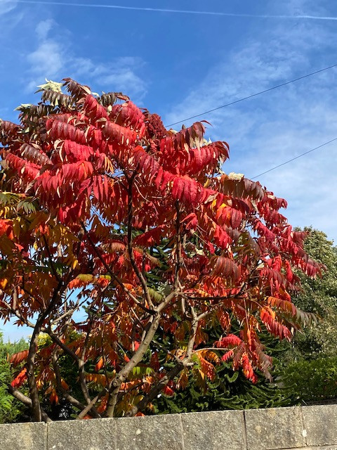 Fwd: Autumn has arrived by Val Unwin			
					</div><!-- .entry-content -->
		
		<footer>
		
		
		
					
					</footer><!-- .entry-meta -->
	</article><!-- #post -->
				
											
				
		
<hr class=