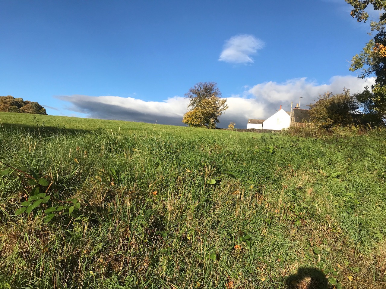 Fwd: Moss Valley			
					</div><!-- .entry-content -->
		
		<footer>
		
		
		
					
					</footer><!-- .entry-meta -->
	</article><!-- #post -->
				
											
				
		
<hr class=