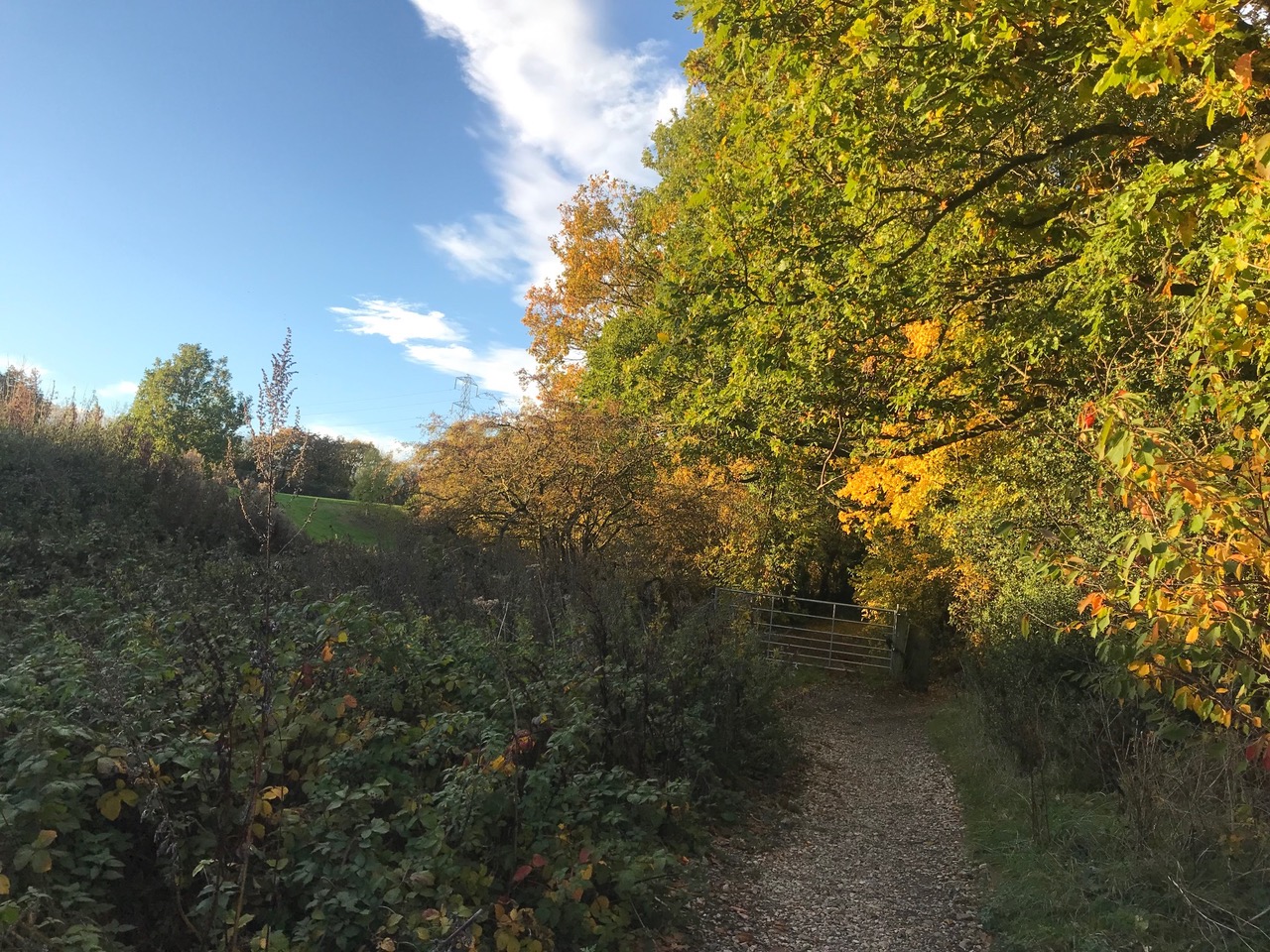 Fwd: Moss Valley			
					</div><!-- .entry-content -->
		
		<footer>
		
		
		
					
					</footer><!-- .entry-meta -->
	</article><!-- #post -->
				
											
				
		
<hr class=