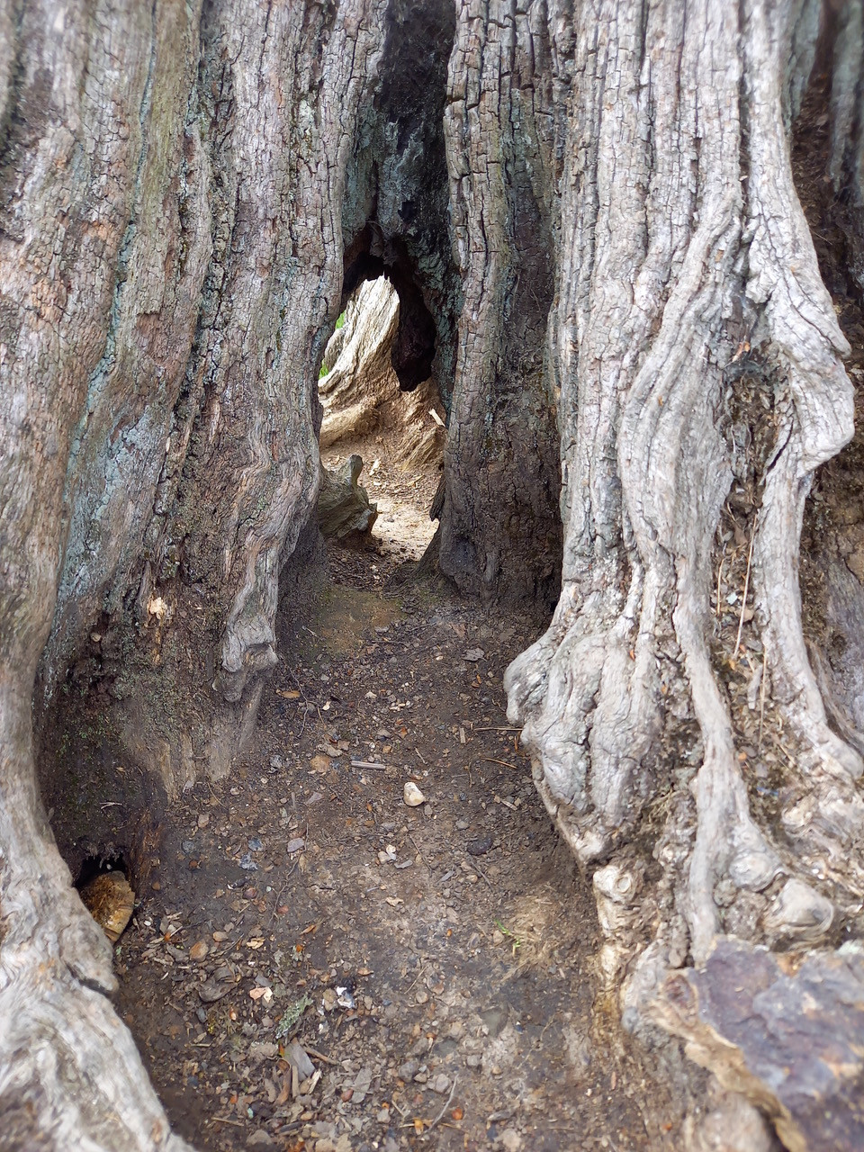 Fwd:			
					</div><!-- .entry-content -->
		
		<footer>
		
		
		
					
					</footer><!-- .entry-meta -->
	</article><!-- #post -->
				
											
				
		
<hr class=