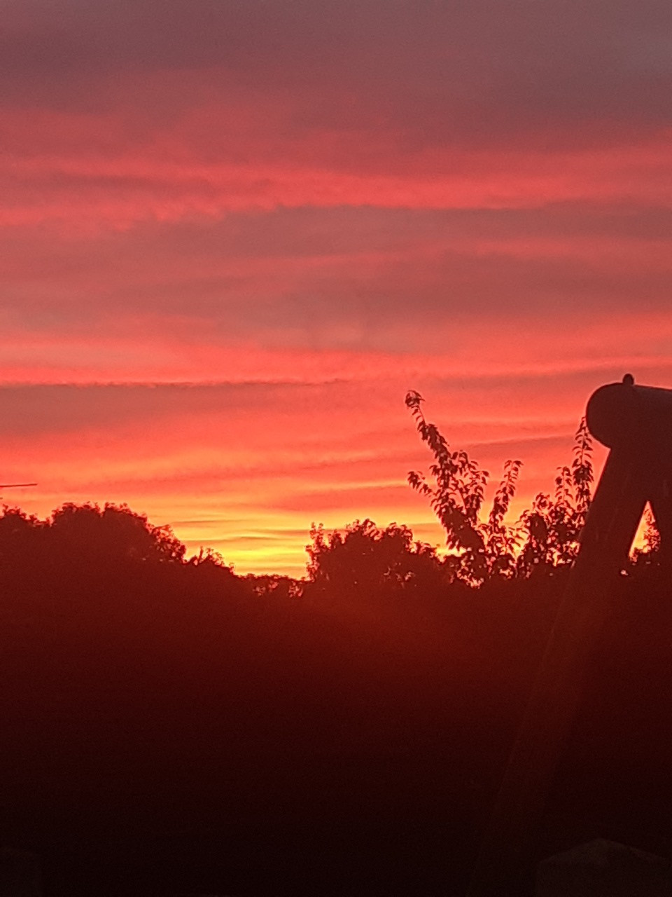 Fwd: Photo			
					</div><!-- .entry-content -->
		
		<footer>
		
		
		
					
					</footer><!-- .entry-meta -->
	</article><!-- #post -->
				
											
				
		
<hr class=