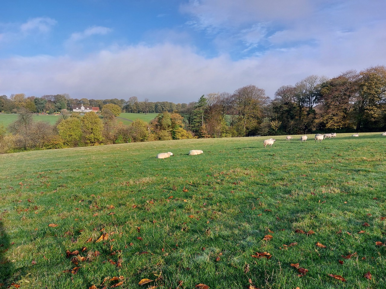 Fwd: Graves Park			
					</div><!-- .entry-content -->
		
		<footer>
		
		
		
					
					</footer><!-- .entry-meta -->
	</article><!-- #post -->
				
											
				
		
<hr class=