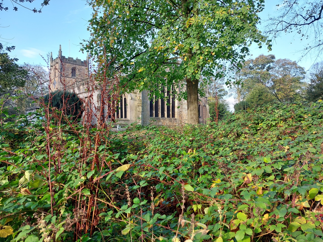 Fwd: St James			
					</div><!-- .entry-content -->
		
		<footer>
		
		
		
					
					</footer><!-- .entry-meta -->
	</article><!-- #post -->
				
											
				
		
<hr class=