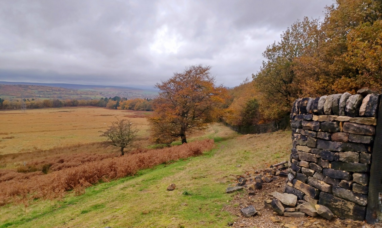 Fwd: By Mark Winter- Wharncliffe Chase.			
					</div><!-- .entry-content -->
		
		<footer>
		
		
		
					
					</footer><!-- .entry-meta -->
	</article><!-- #post -->
				
											
				
		
<hr class=