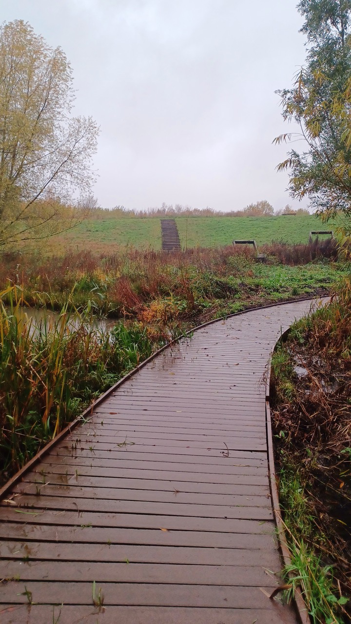 Fwd: By Mark Winter- Centenary Riverside			
					</div><!-- .entry-content -->
		
		<footer>
		
		
		
					
					</footer><!-- .entry-meta -->
	</article><!-- #post -->
				
											
				
		
<hr class=