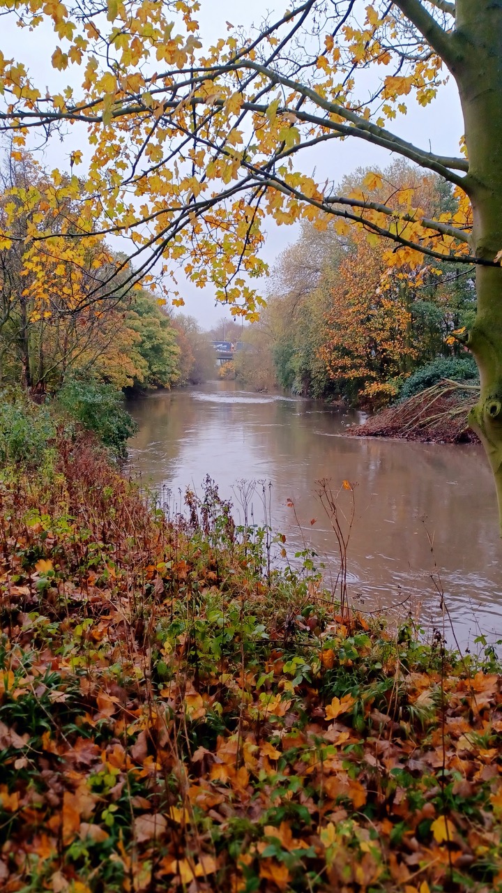 Fwd: By Mark Winter Centenary Riverside			
					</div><!-- .entry-content -->
		
		<footer>
		
		
		
					
					</footer><!-- .entry-meta -->
	</article><!-- #post -->
				
											
				
		
<hr class=