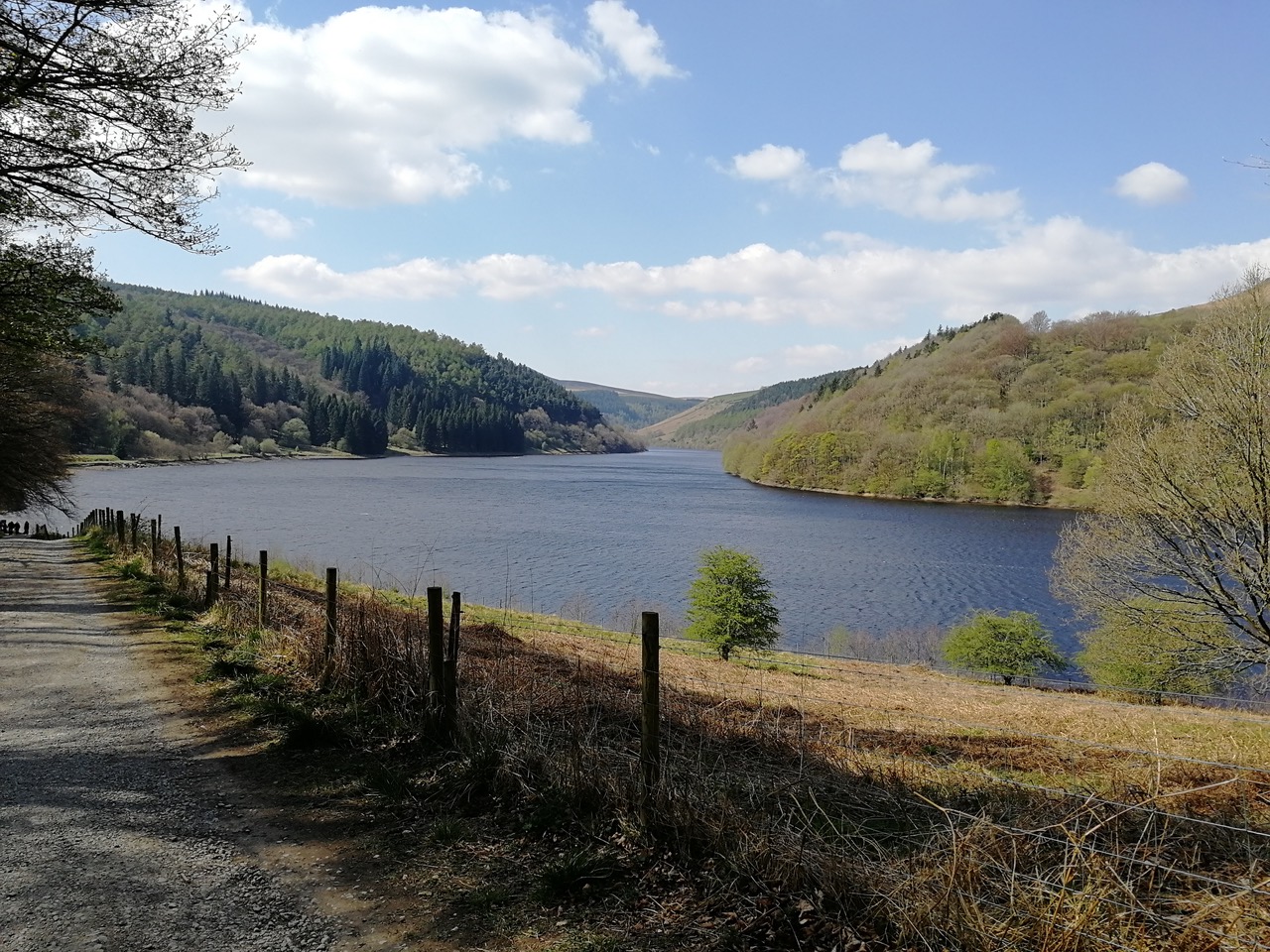 Fwd: Pictures			
					</div><!-- .entry-content -->
		
		<footer>
		
		
		
					
					</footer><!-- .entry-meta -->
	</article><!-- #post -->
				
											
				
		
<hr class=