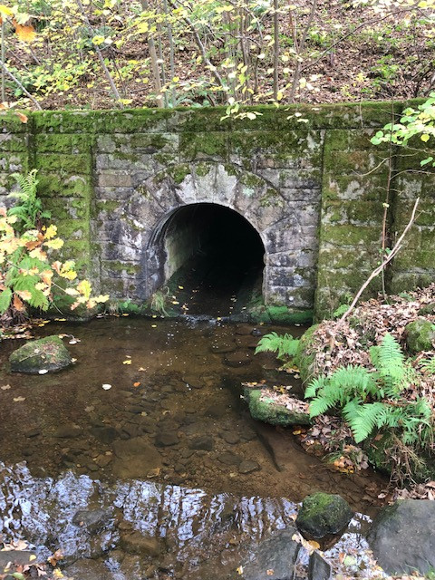 Fwd:			
					</div><!-- .entry-content -->
		
		<footer>
		
		
		
					
					</footer><!-- .entry-meta -->
	</article><!-- #post -->
				
											
				
		
<hr class=