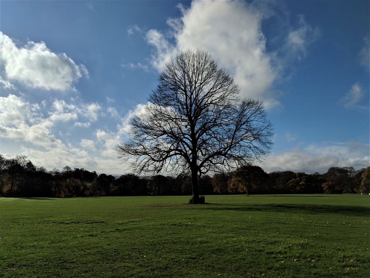 Fwd: Isaac Walker, Graves Park			
					</div><!-- .entry-content -->
		
		<footer>
		
		
		
					
					</footer><!-- .entry-meta -->
	</article><!-- #post -->
				
											
				
		
<hr class=