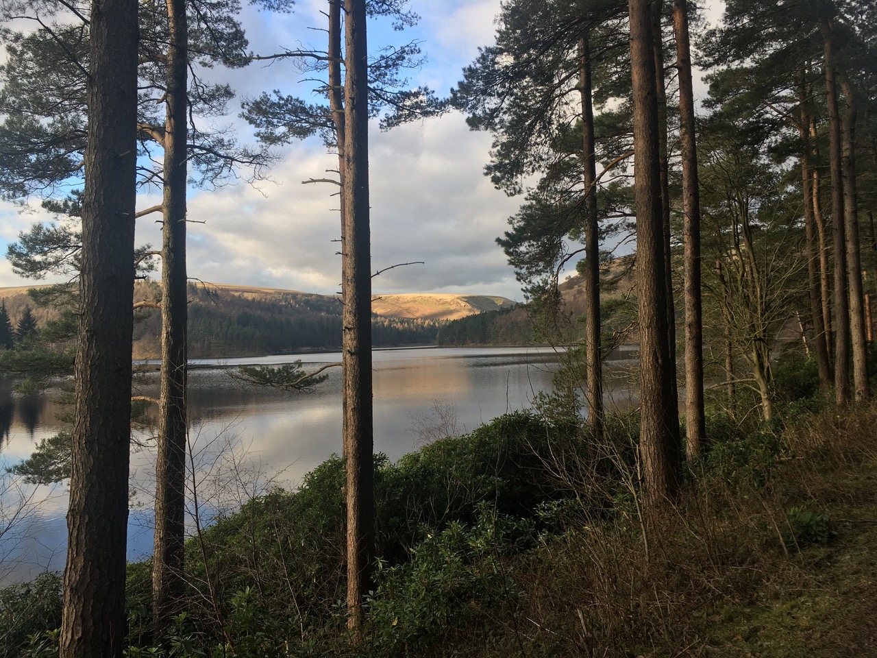 Fwd: Hope Valley – Ronksley			
					</div><!-- .entry-content -->
		
		<footer>
		
		
		
					
					</footer><!-- .entry-meta -->
	</article><!-- #post -->
				
											
				
		
<hr class=