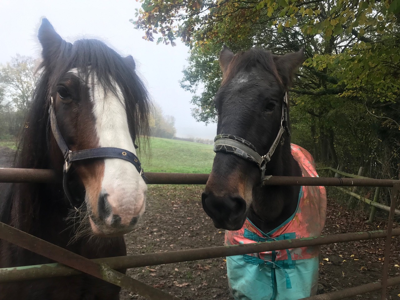 Fwd: Troway			
					</div><!-- .entry-content -->
		
		<footer>
		
		
		
					
					</footer><!-- .entry-meta -->
	</article><!-- #post -->
				
											
				
		
<hr class=