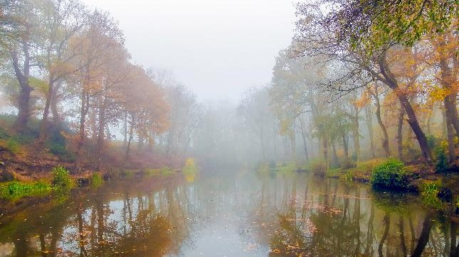 Fwd: Photo3			
					</div><!-- .entry-content -->
		
		<footer>
		
		
		
					
					</footer><!-- .entry-meta -->
	</article><!-- #post -->
				
											
				
		
<hr class=