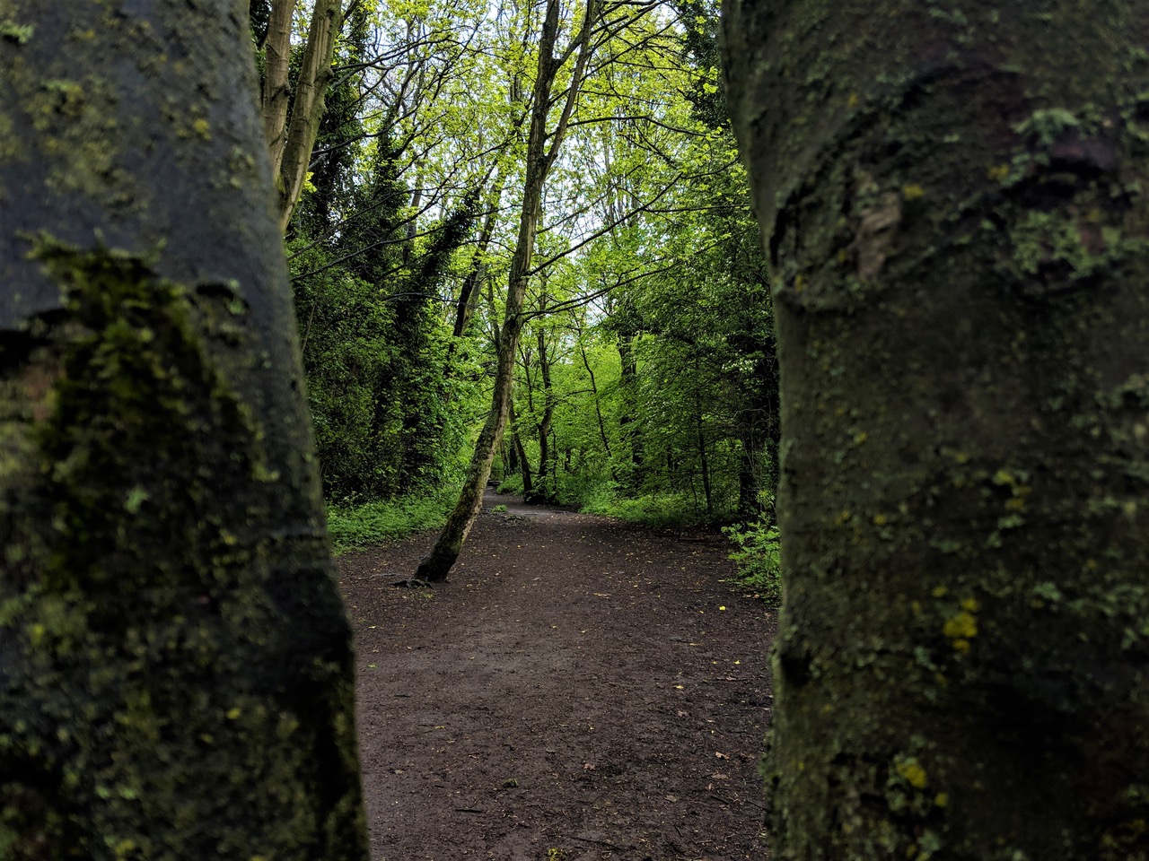 Fwd: Isaac Walker, Rivelin			
					</div><!-- .entry-content -->
		
		<footer>
		
		
		
					
					</footer><!-- .entry-meta -->
	</article><!-- #post -->
				
											
				
		
<hr class=