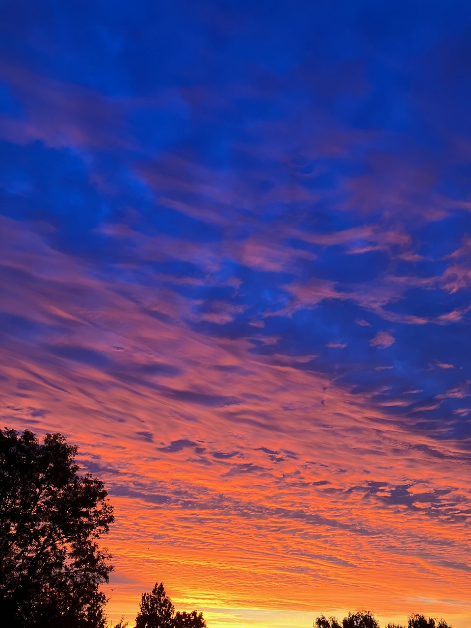 Fwd: Photos for Radio Show			
					</div><!-- .entry-content -->
		
		<footer>
		
		
		
					
					</footer><!-- .entry-meta -->
	</article><!-- #post -->
				
											
				
		
<hr class=