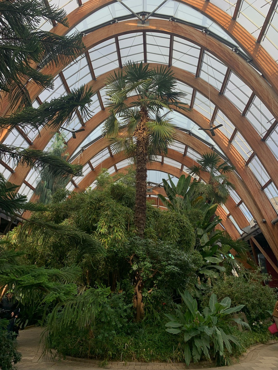 Fwd: Winter gardens- Sheffield			
					</div><!-- .entry-content -->
		
		<footer>
		
		
		
					
					</footer><!-- .entry-meta -->
	</article><!-- #post -->
				
											
				
		
<hr class=
