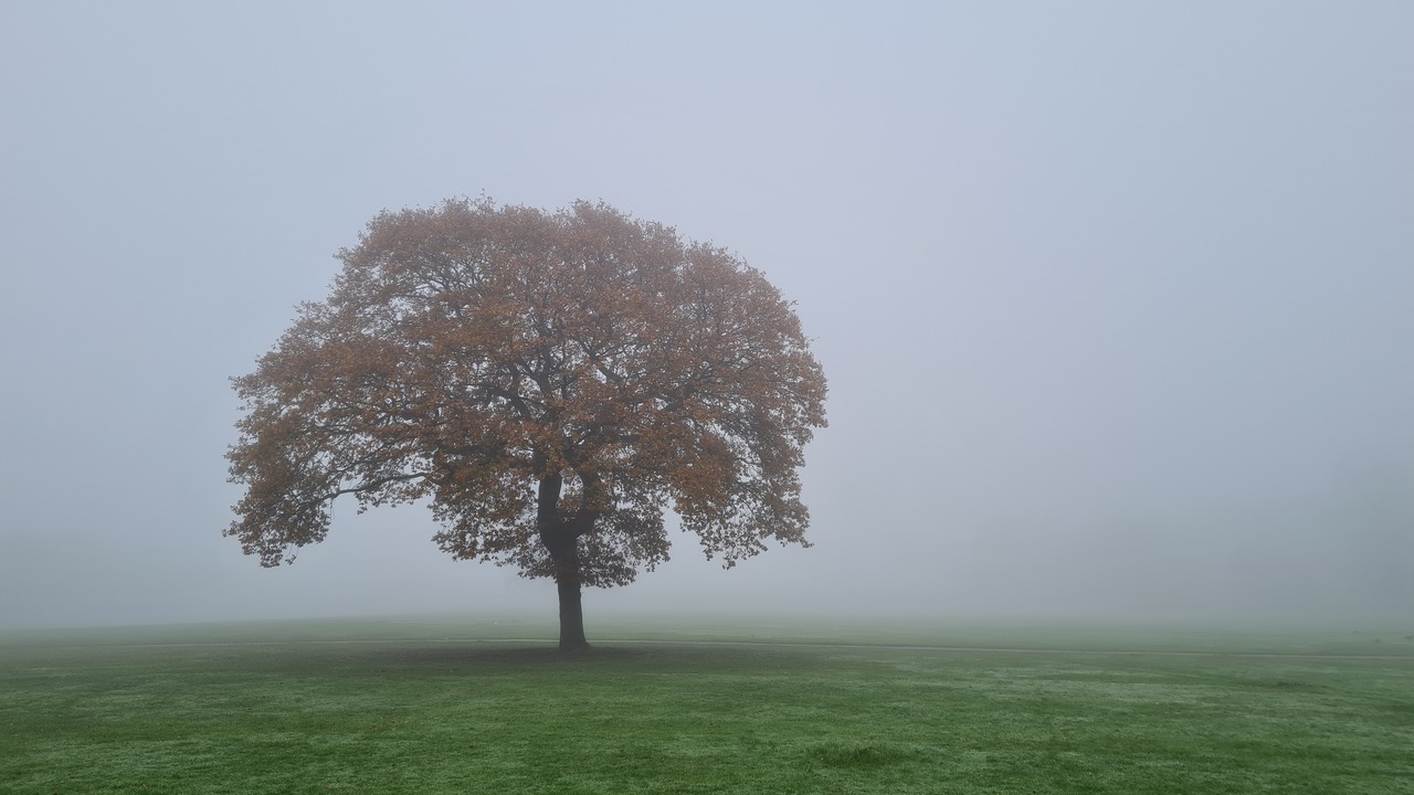 Fwd: Greg Howarth Graves Park			
					</div><!-- .entry-content -->
		
		<footer>
		
		
		
					
					</footer><!-- .entry-meta -->
	</article><!-- #post -->
				
											
				
		
<hr class=