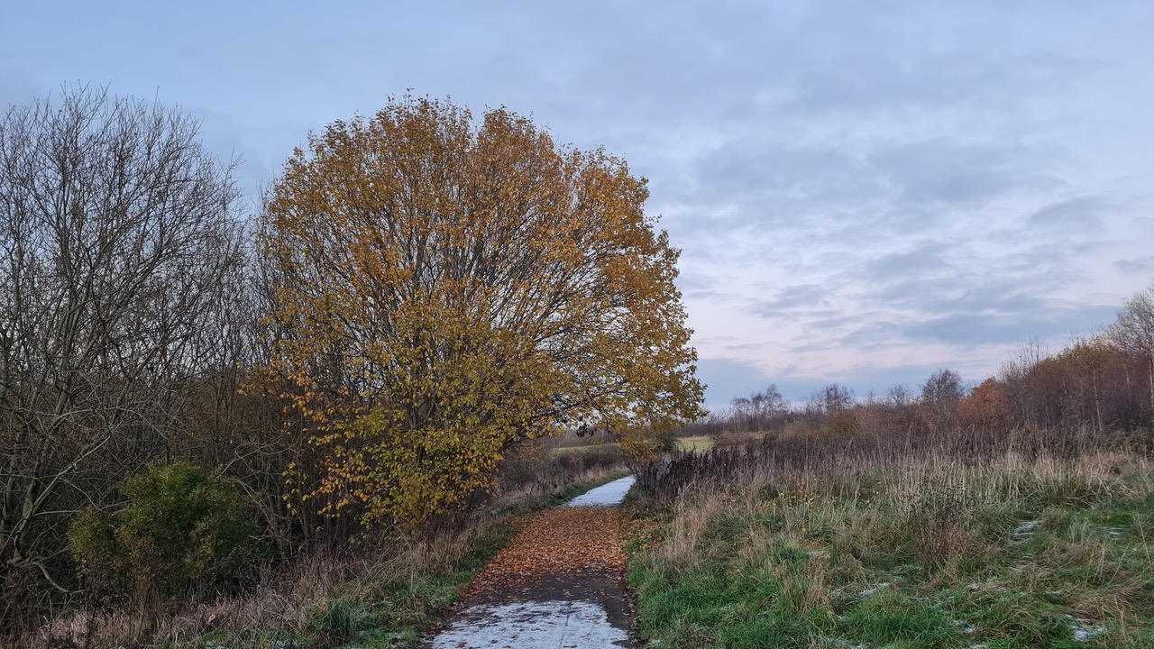 Fwd: Greg Howarth Richmond Heights			
					</div><!-- .entry-content -->
		
		<footer>
		
		
		
					
					</footer><!-- .entry-meta -->
	</article><!-- #post -->
				
											
				
		
<hr class=