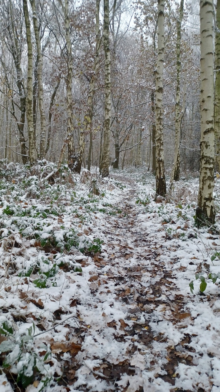 Fwd: By Mark Winter- Canklow Woods			
					</div><!-- .entry-content -->
		
		<footer>
		
		
		
					
					</footer><!-- .entry-meta -->
	</article><!-- #post -->
				
											
				
		
<hr class=