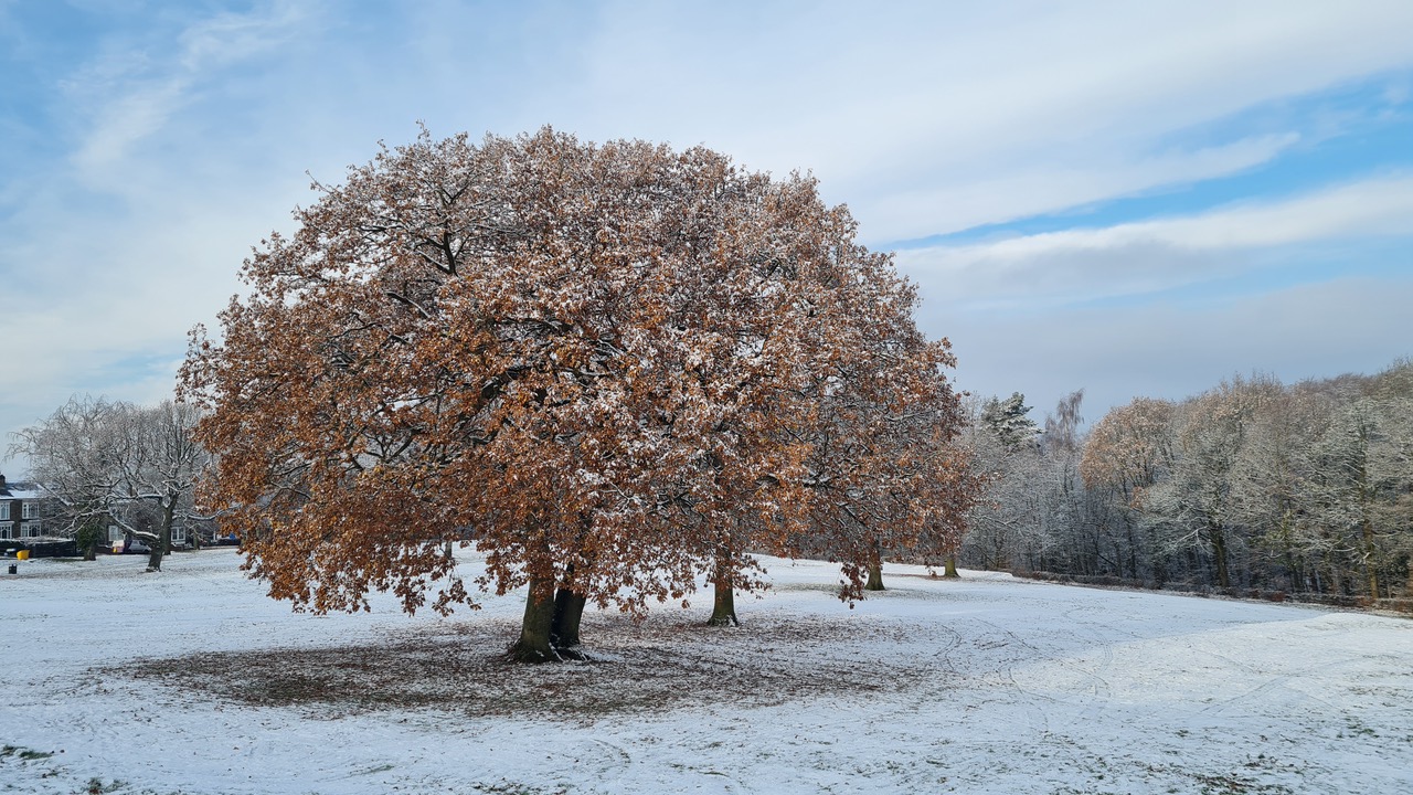 Fwd: Greg Howarth Graves Park			
					</div><!-- .entry-content -->
		
		<footer>
		
		
		
					
					</footer><!-- .entry-meta -->
	</article><!-- #post -->
				
											
				
		
<hr class=