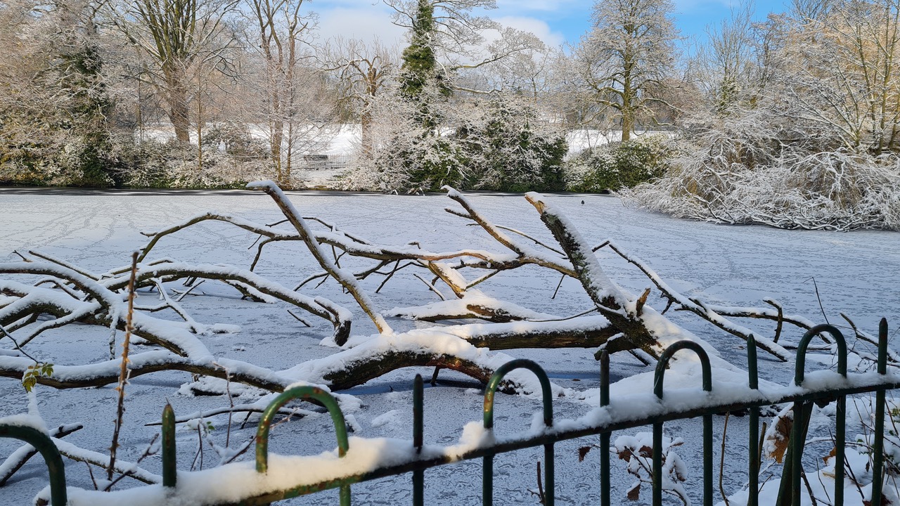 Fwd: Greg Howarth Graves Park			
					</div><!-- .entry-content -->
		
		<footer>
		
		
		
					
					</footer><!-- .entry-meta -->
	</article><!-- #post -->
				
											
				
		
<hr class=